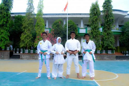 Ekstra Karate